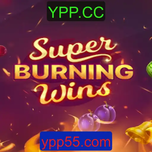 Explorando SuperBurningWins: Um Guia Completo para Jogadores